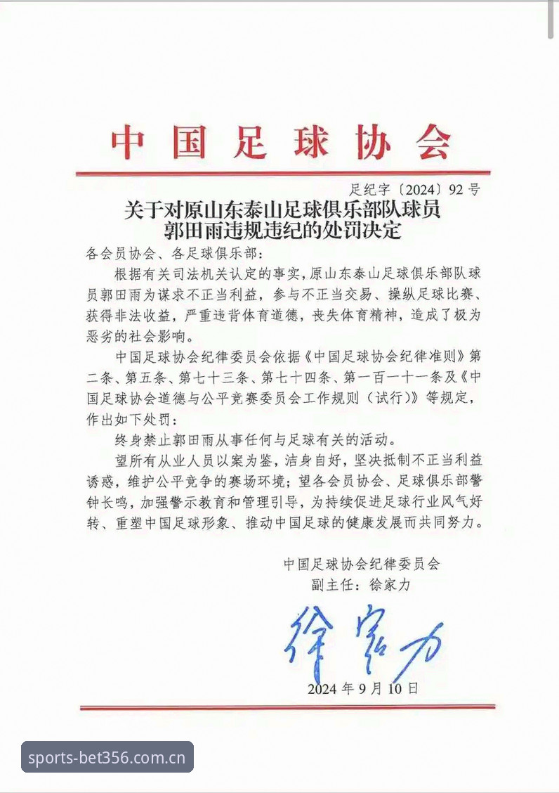 澳门bet356怎么下载 中国足协第三批禁足名单最新动态:17人终身禁赛,48人遭重罚